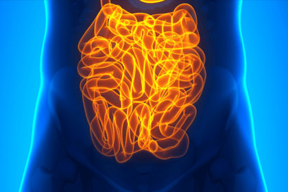 sepsis-gastritis-intestine
